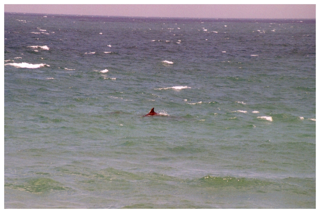 01 - Sydney Bondi Beach (1).jpg